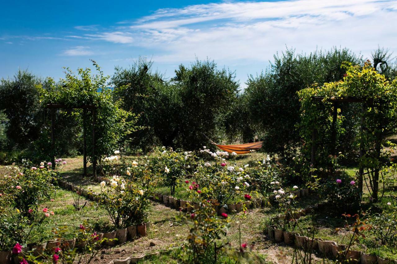 Hotel Orvieto Rocca Fiorita Extérieur photo